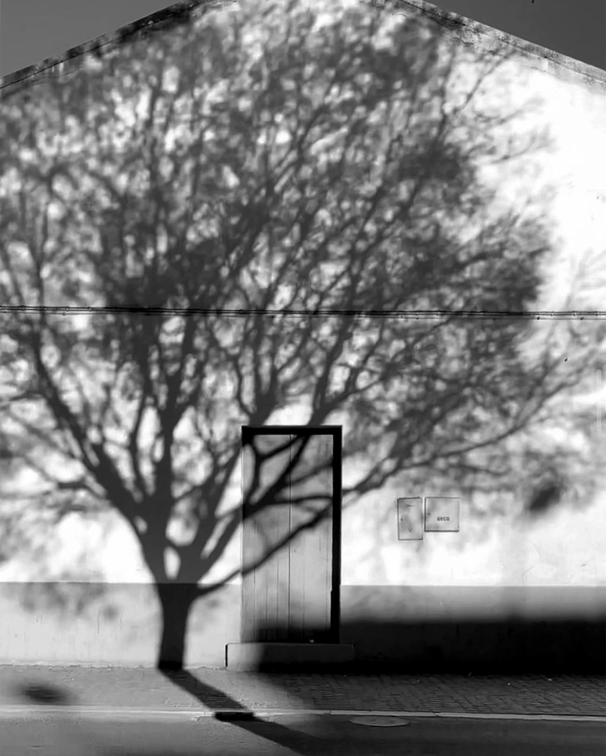 Cena em escala de cinzento com sombra de árvore projetada em casa rural de uma porta.